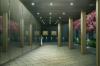 Clicca per visualizzare 0107_t1.jpg